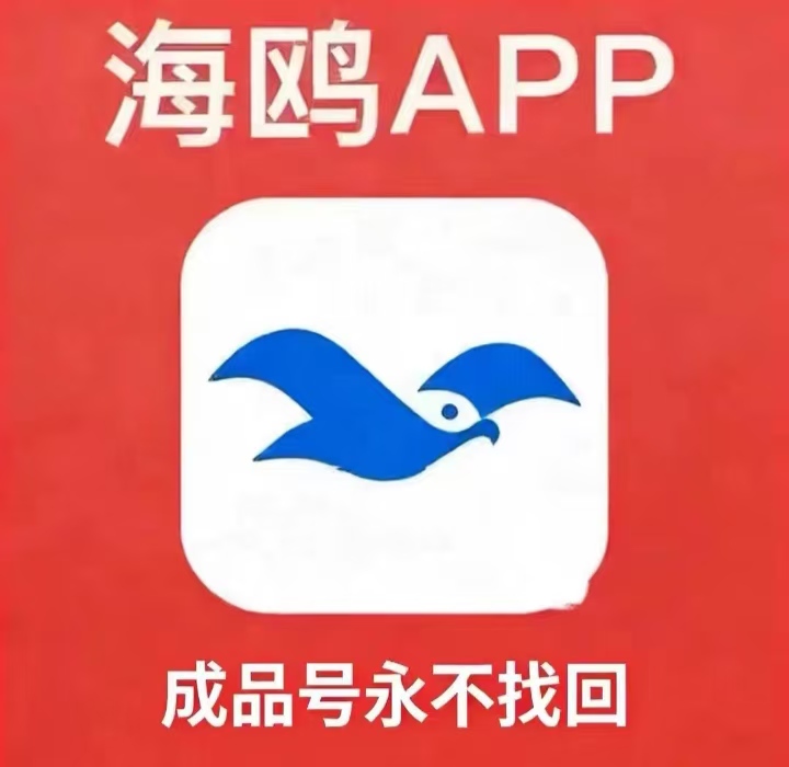 海鸥等级号15级